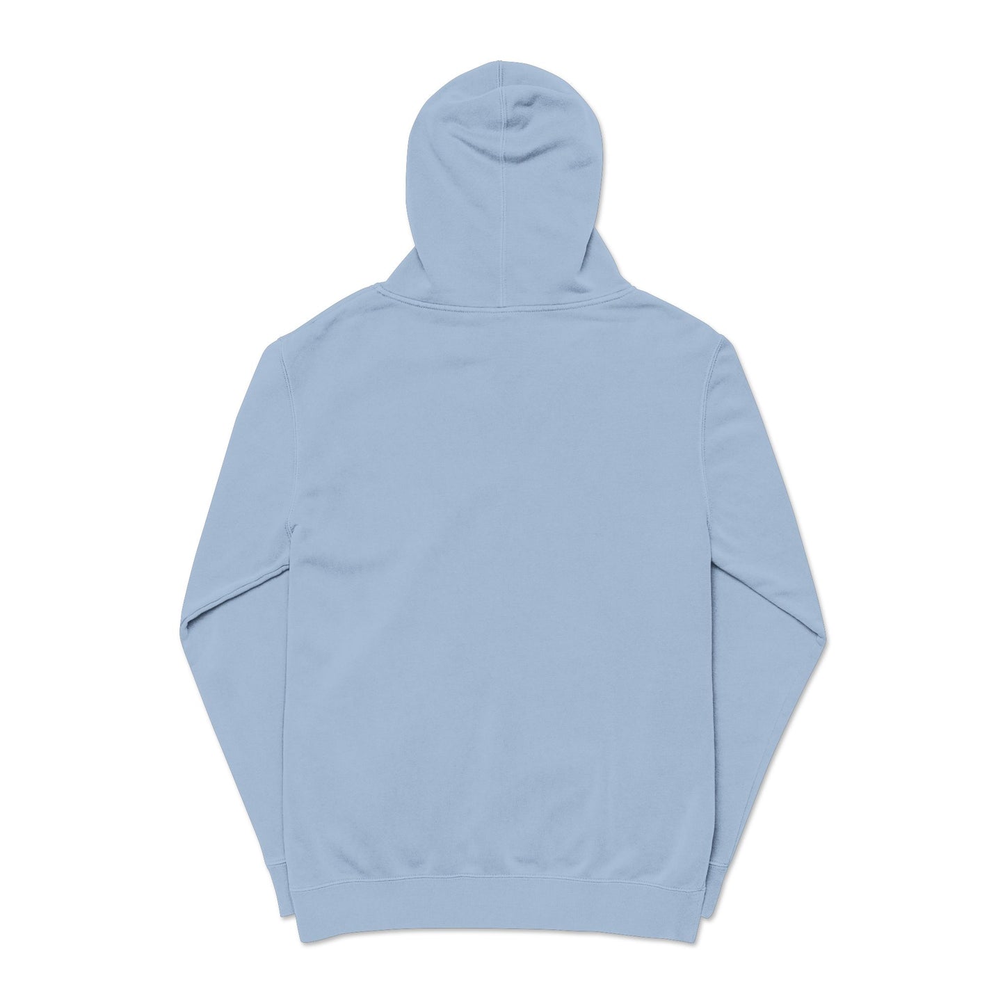 ALC Embroidered hoodie ( color option)