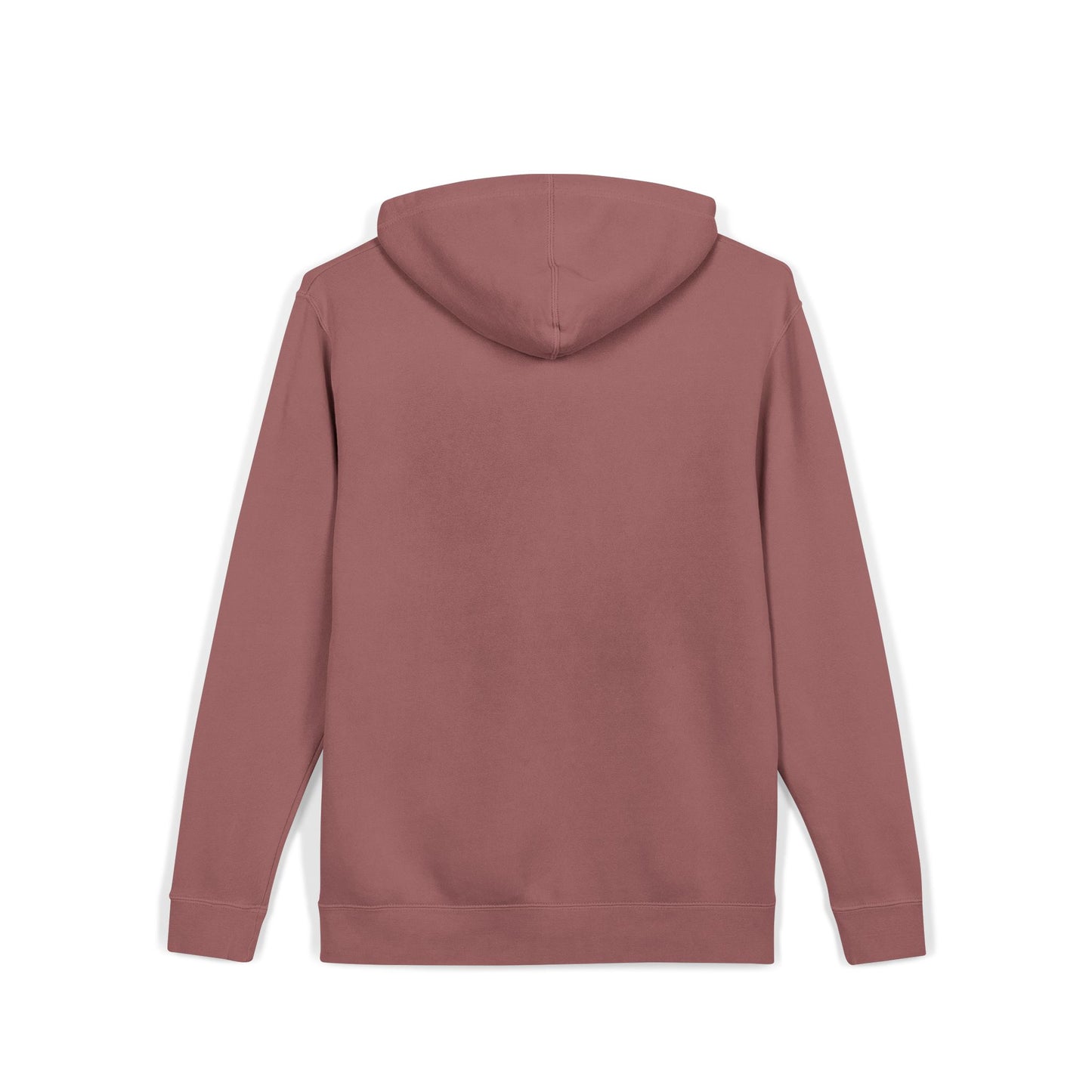 ALC Embroidered  hoodie ( color option)