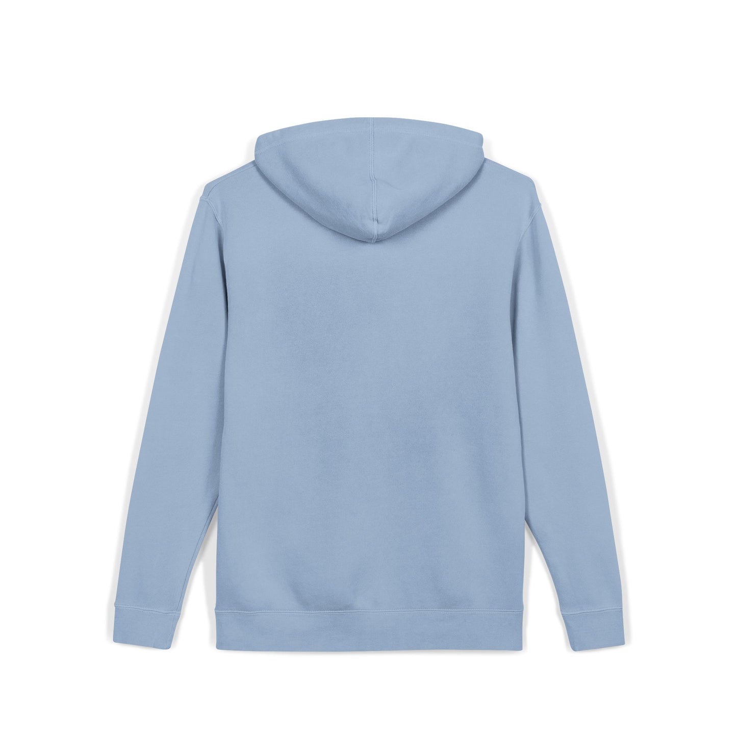 ALC Embroidered  hoodie ( color option)
