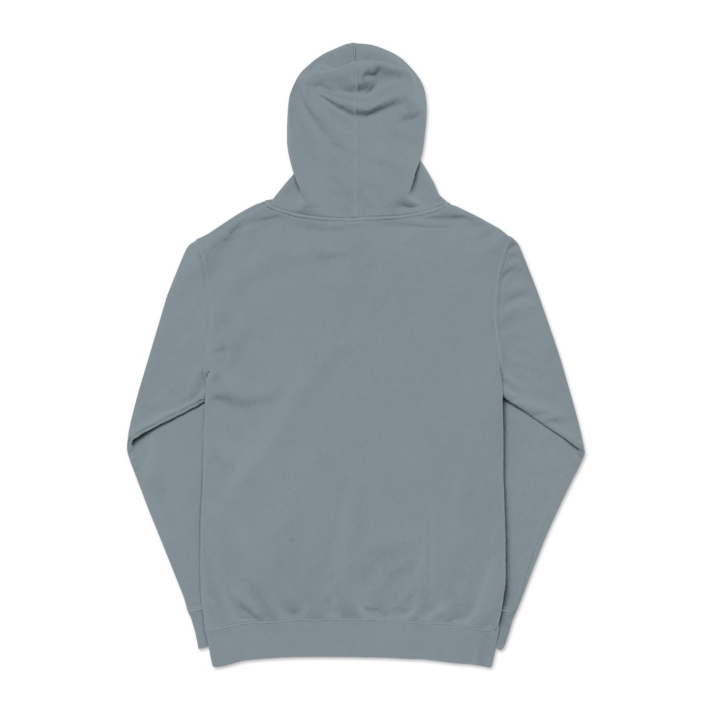 ALC Embroidered  hoodie ( color option)