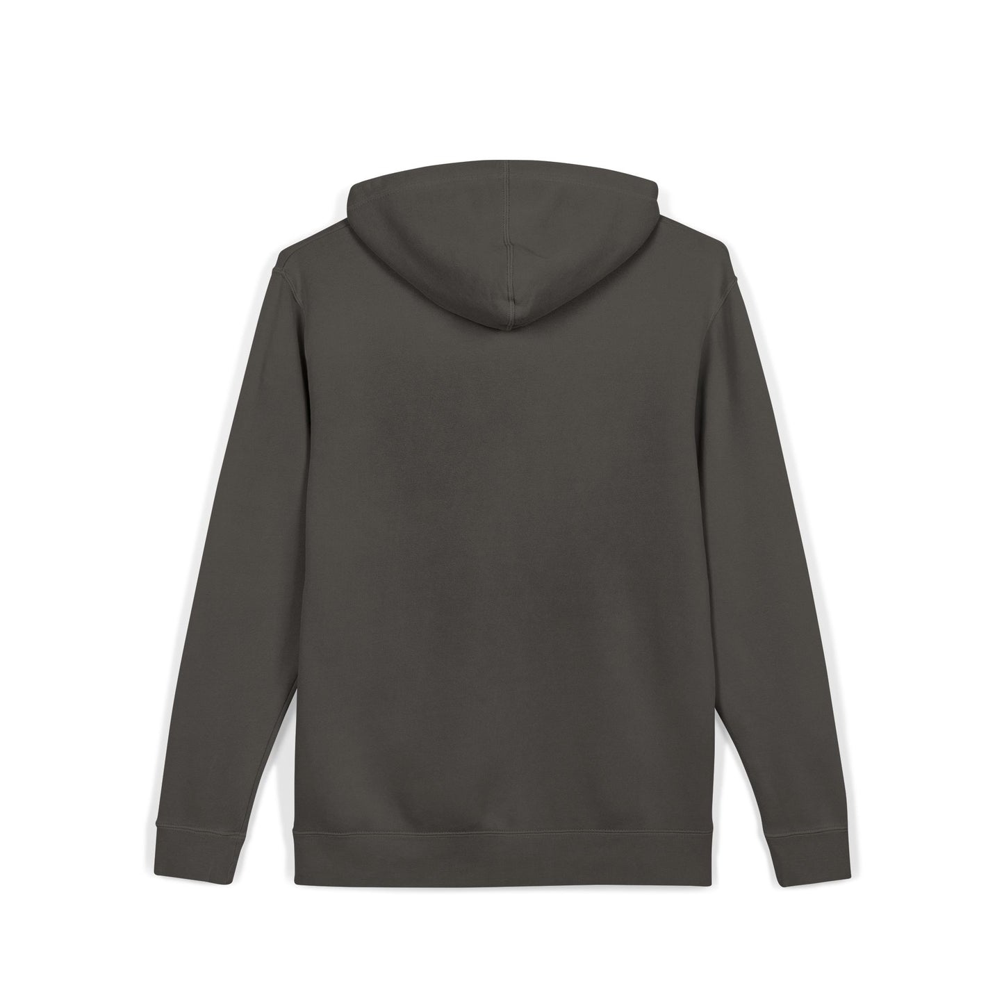 ALC Embroidered  hoodie ( color option)