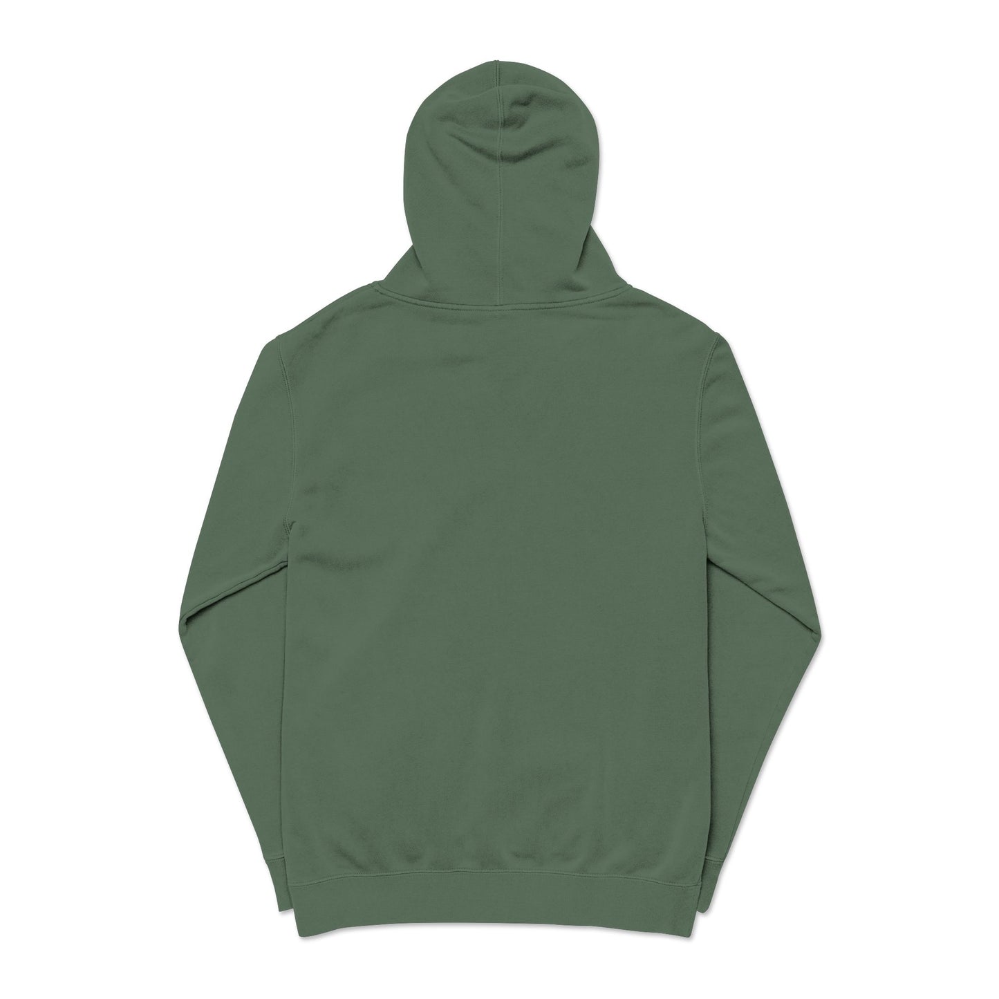 ALC Embroidered  hoodie ( color option)