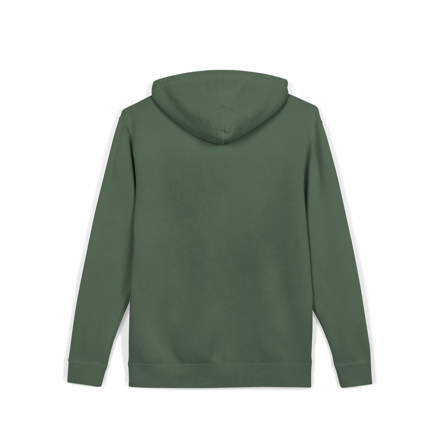 ALC Embroidered  hoodie ( color option)