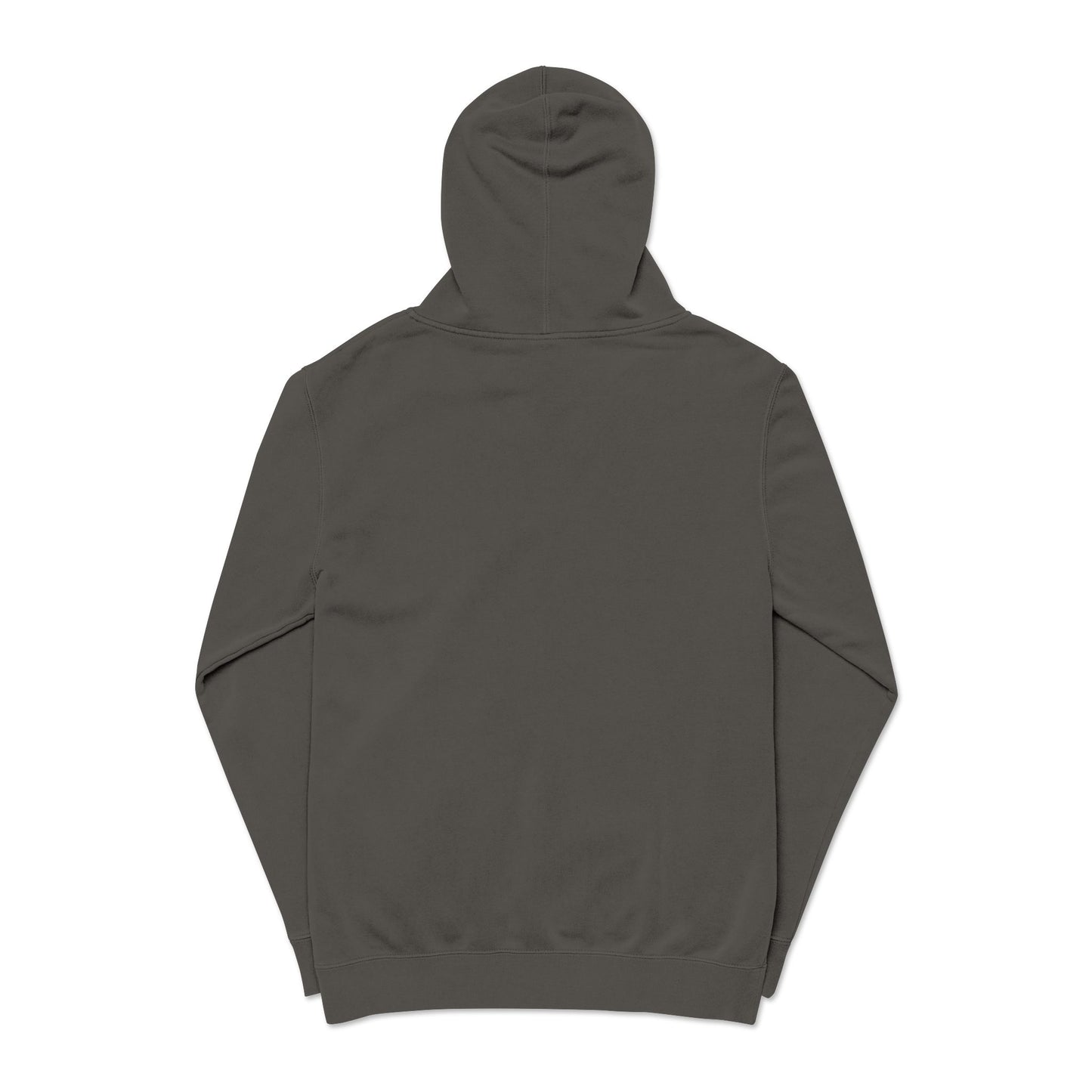 ALC Embroidered  hoodie ( color option)
