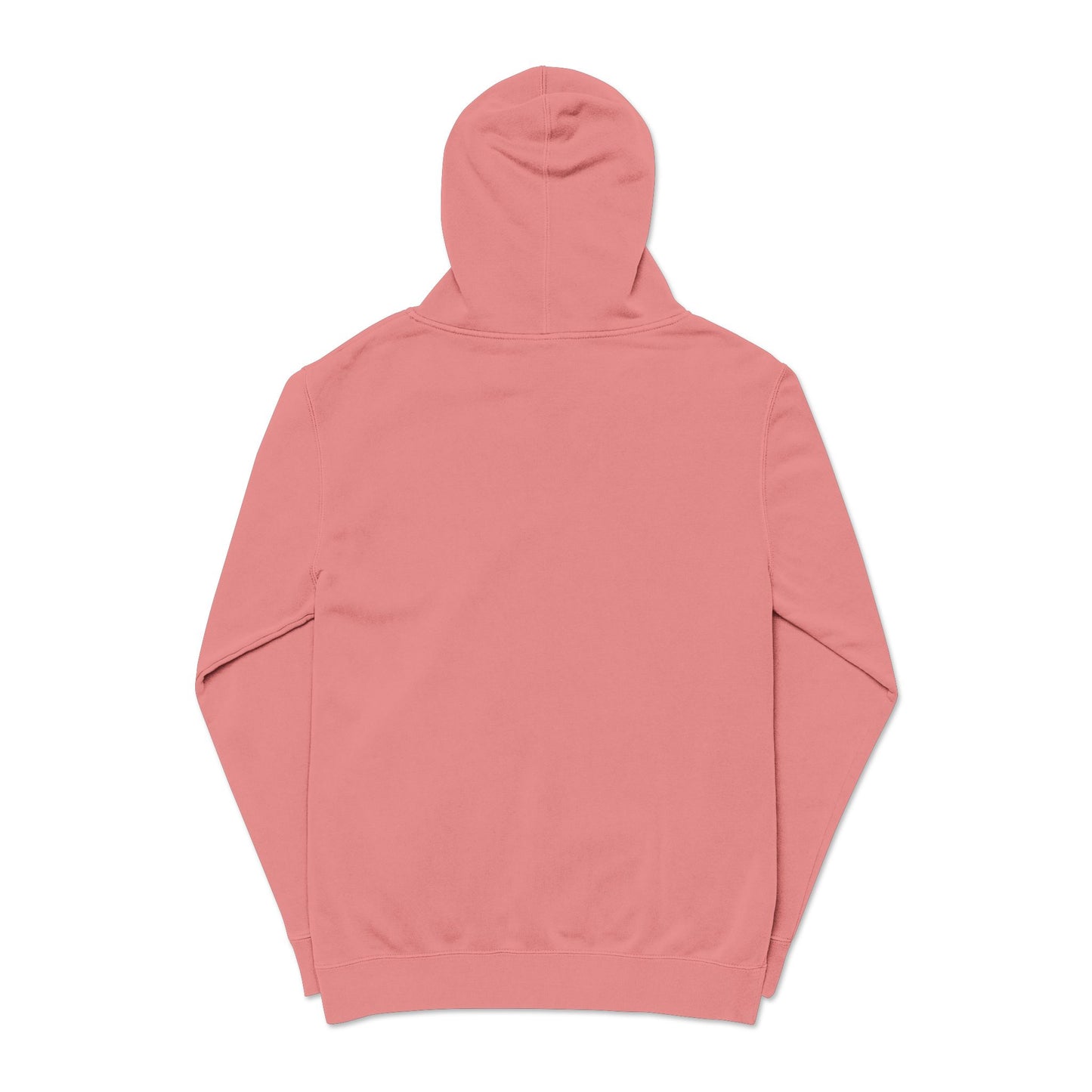 ALC Embroidered  hoodie ( color option)