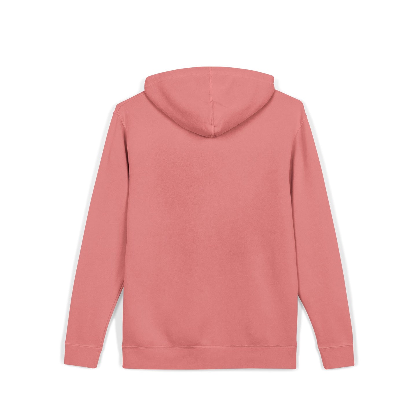 ALC Embroidered  hoodie ( color option)